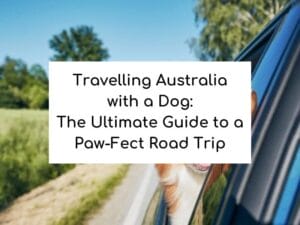 Travelling Australia with a Dog