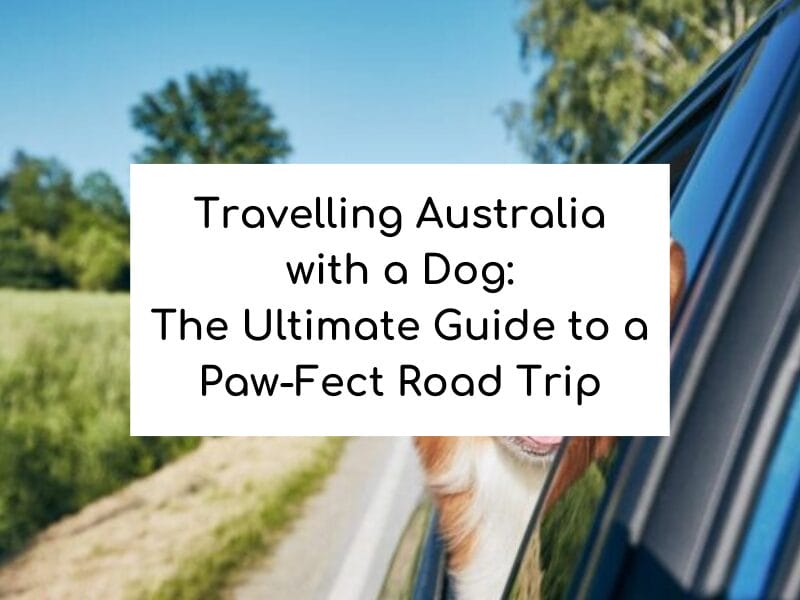 Travelling Australia with a Dog