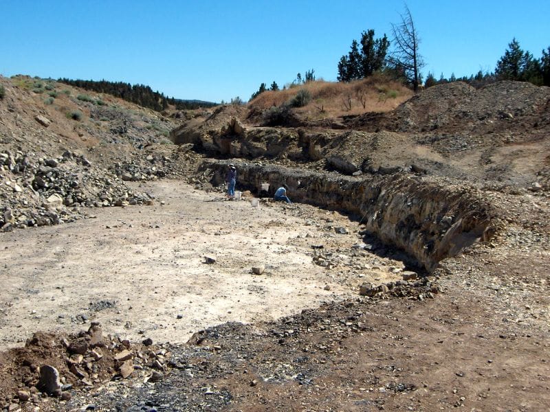 Looking for fossils in Richmond