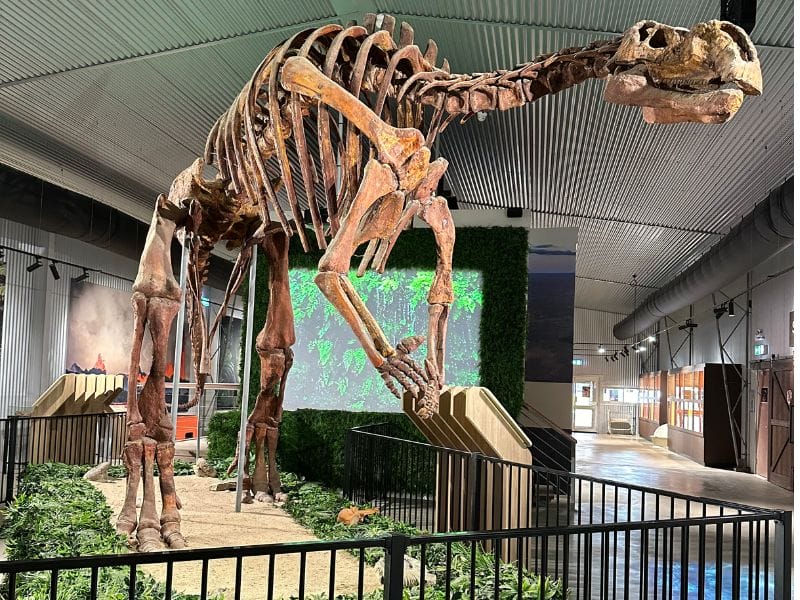 Muttaburrasaurus at the Flinders Discovery Centre in Hughenden