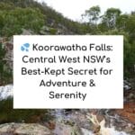 Koorawatha Falls